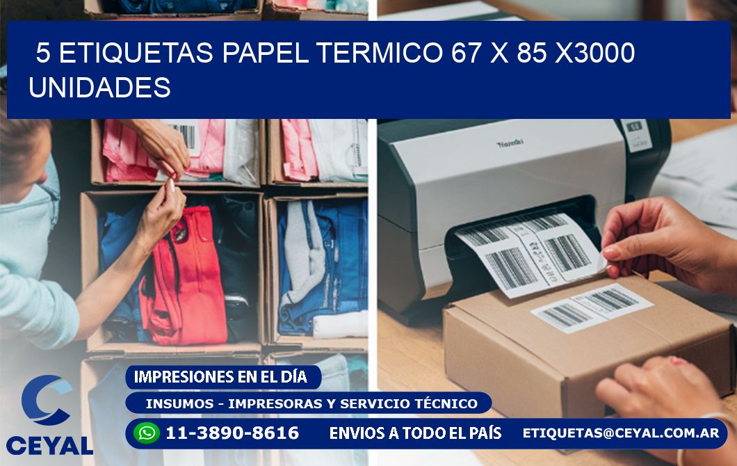 5 ETIQUETAS PAPEL TERMICO 67 x 85 X3000 UNIDADES