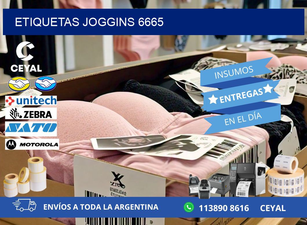 ETIQUETAS JOGGINS 6665
