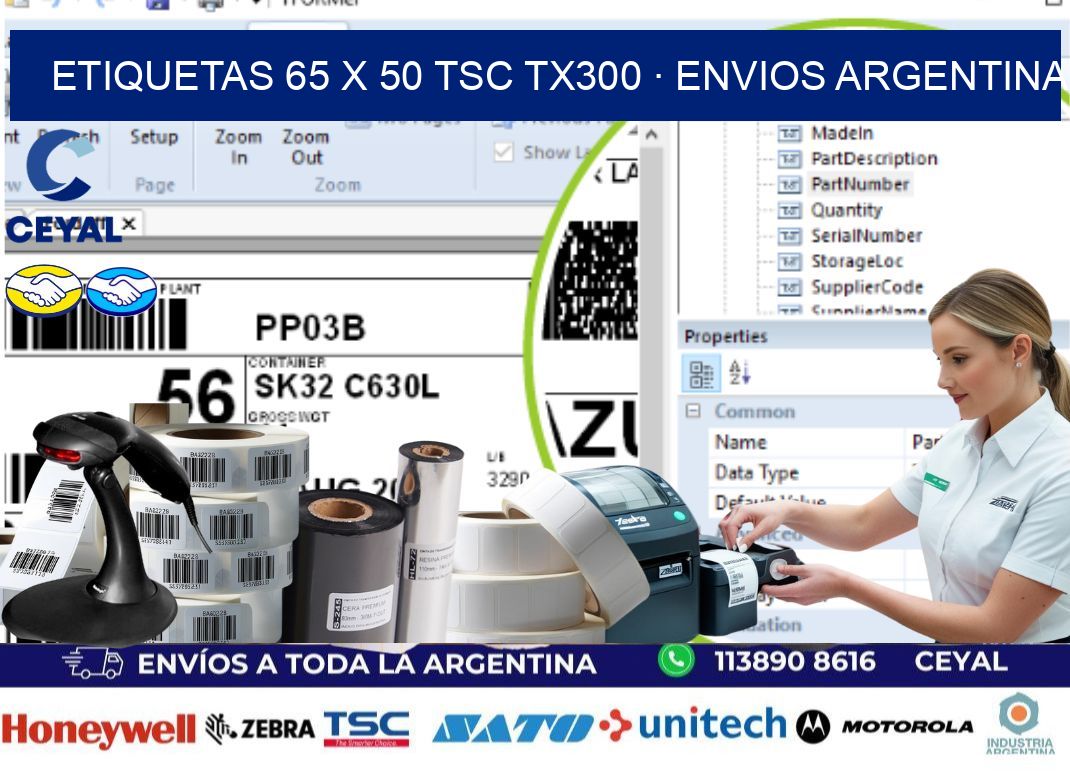 ETIQUETAS 65 x 50 TSC TX300 · ENVIOS ARGENTINA