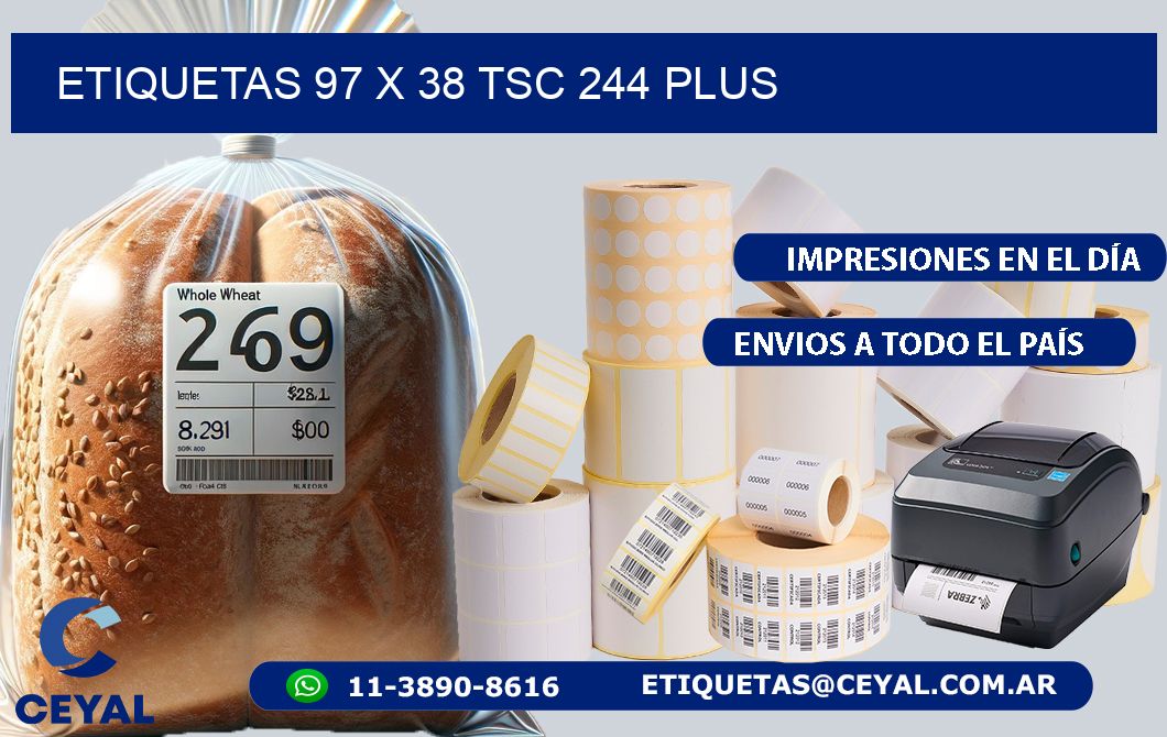 ETIQUETAS 97 x 38 TSC 244 PLUS