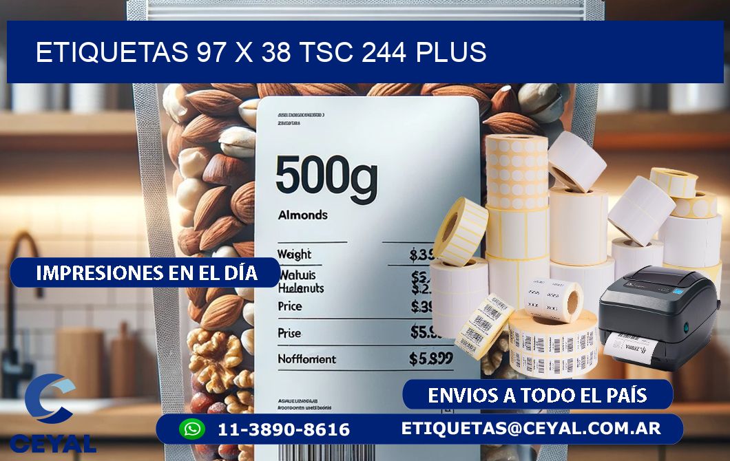 ETIQUETAS 97 x 38 TSC 244 PLUS