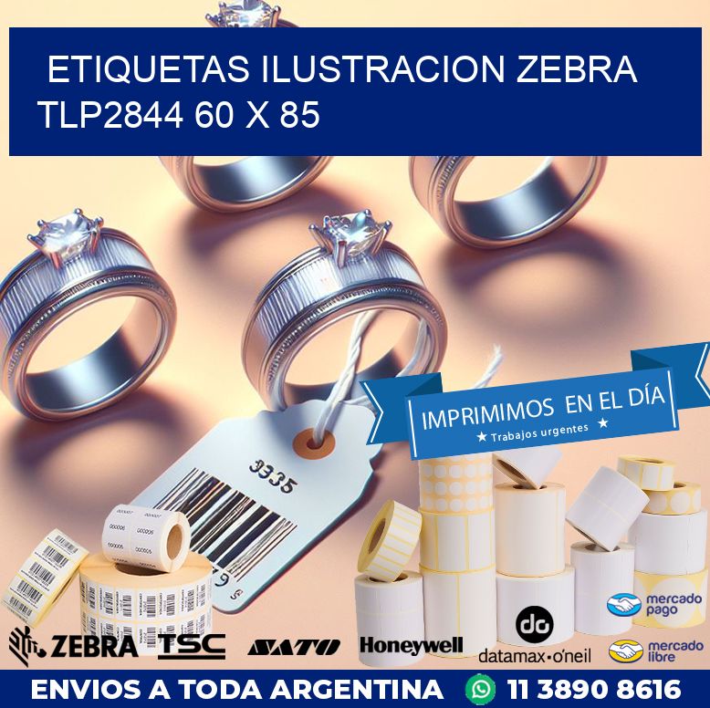 ETIQUETAS ILUSTRACION ZEBRA TLP2844 60 x 85