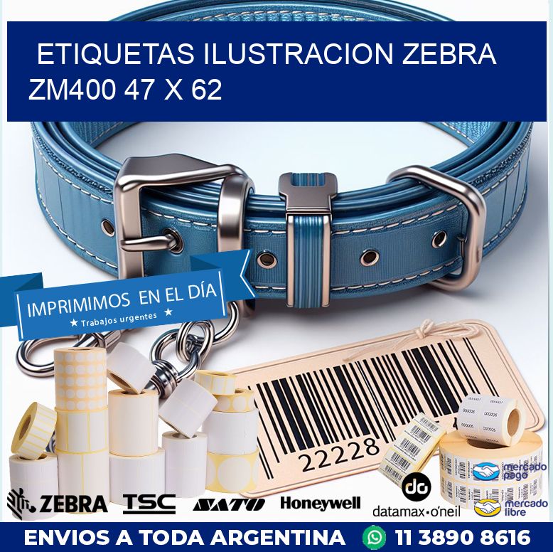 ETIQUETAS ILUSTRACION ZEBRA ZM400 47 x 62
