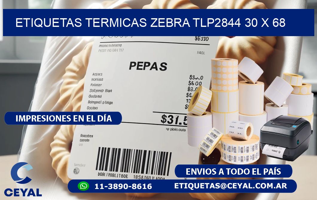ETIQUETAS TERMICAS ZEBRA TLP2844 30 x 68