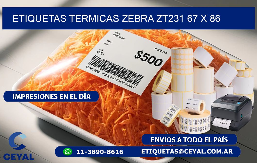 ETIQUETAS TERMICAS ZEBRA ZT231 67 x 86