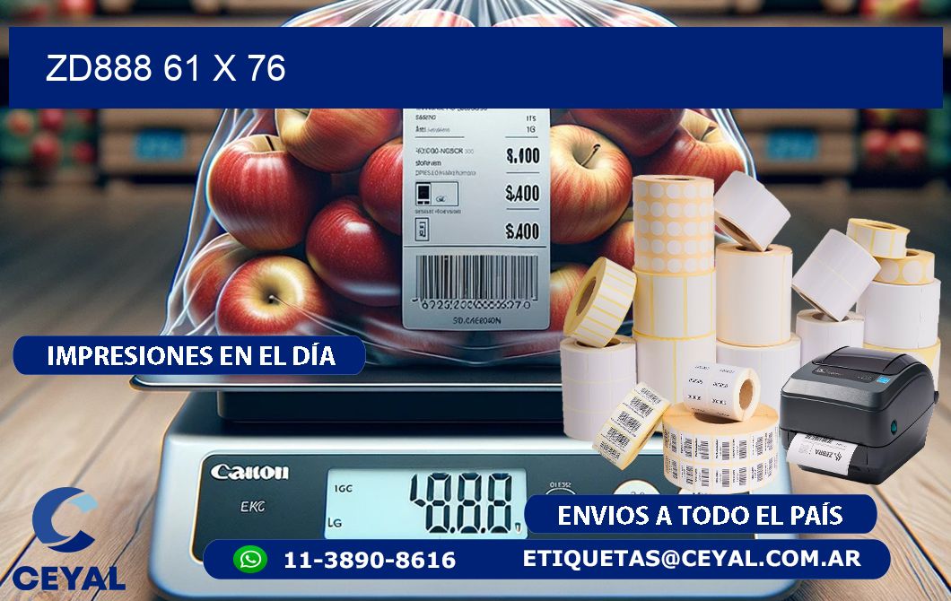 ZD888 61 x 76