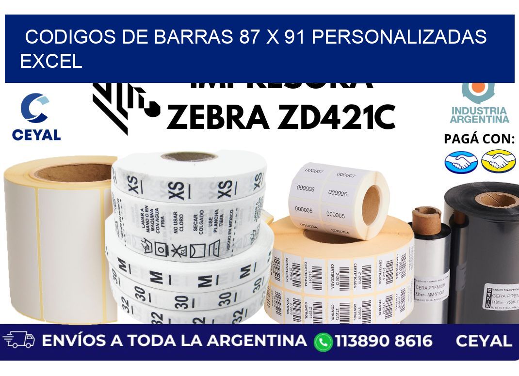 codigos de barras 87 x 91 personalizadas excel