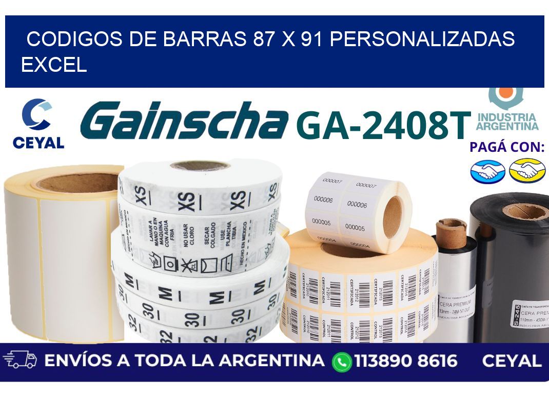 codigos de barras 87 x 91 personalizadas excel