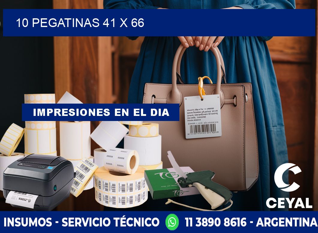 10 PEGATINAS 41 x 66