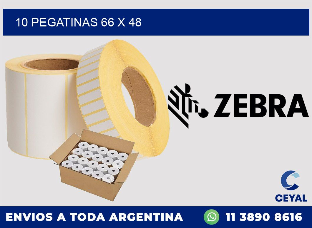 10 PEGATINAS 66 x 48