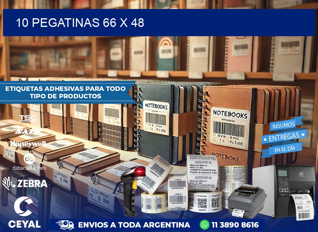 10 PEGATINAS 66 x 48