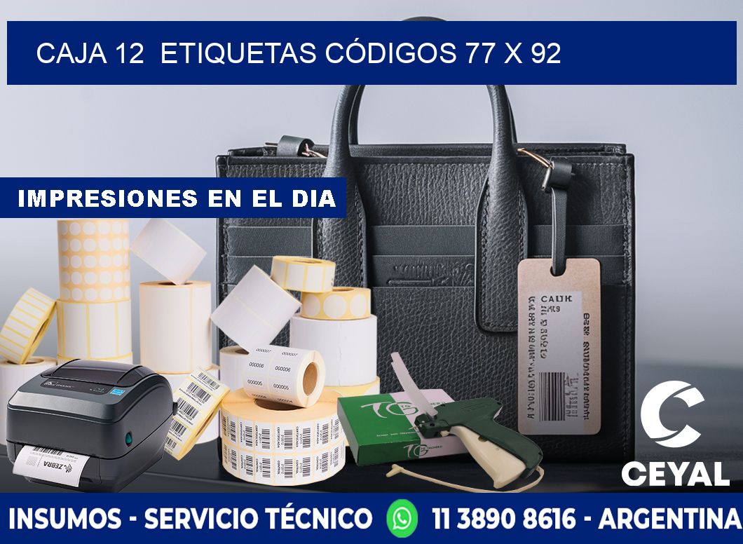 CAJA 12  ETIQUETAS CÓDIGOS 77 x 92