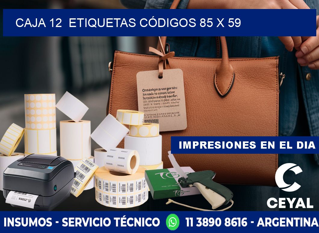 CAJA 12  ETIQUETAS CÓDIGOS 85 x 59