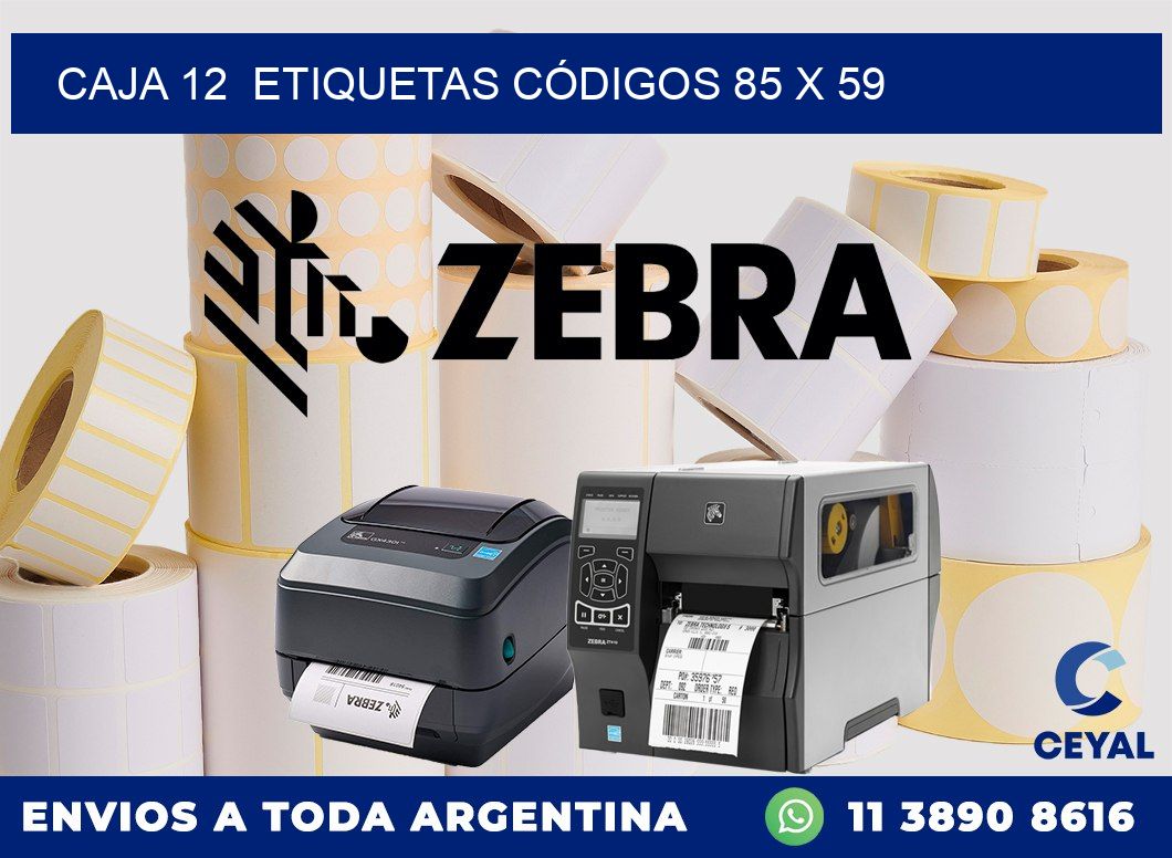 CAJA 12  ETIQUETAS CÓDIGOS 85 x 59