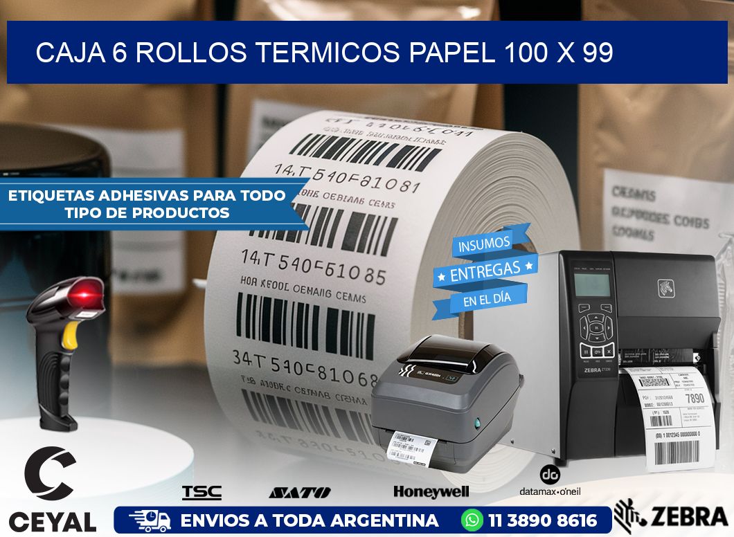 CAJA 6 ROLLOS TERMICOS PAPEL 100 x 99