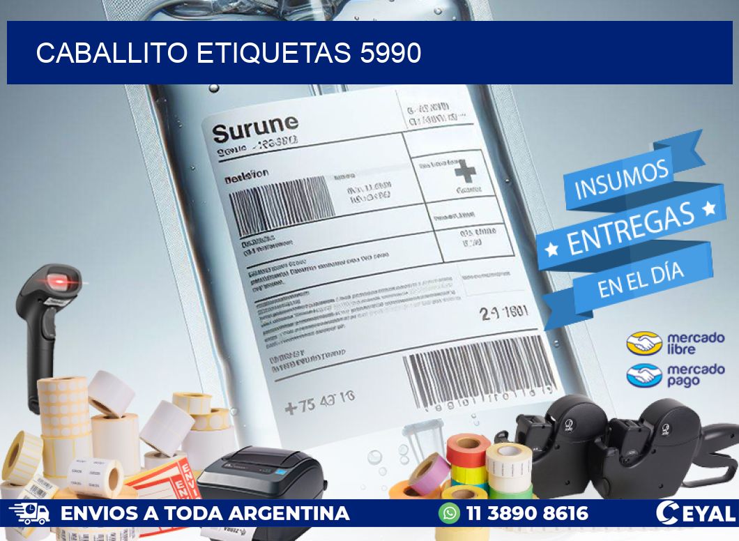 Caballito etiquetas 5990