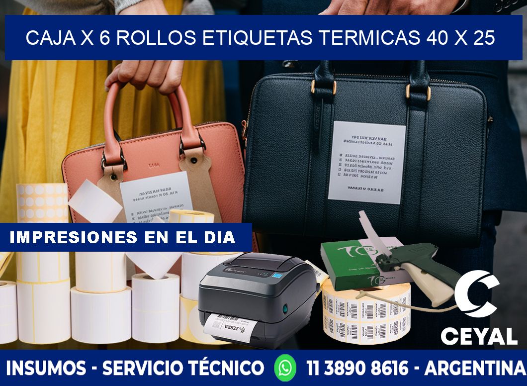 Caja X 6 Rollos Etiquetas termicas 40 x 25