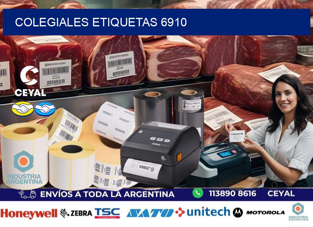 Colegiales etiquetas 6910