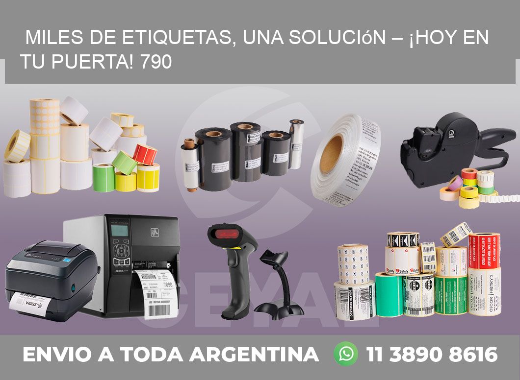 Miles de Etiquetas, Una Solución – ¡Hoy en tu Puerta! 790
