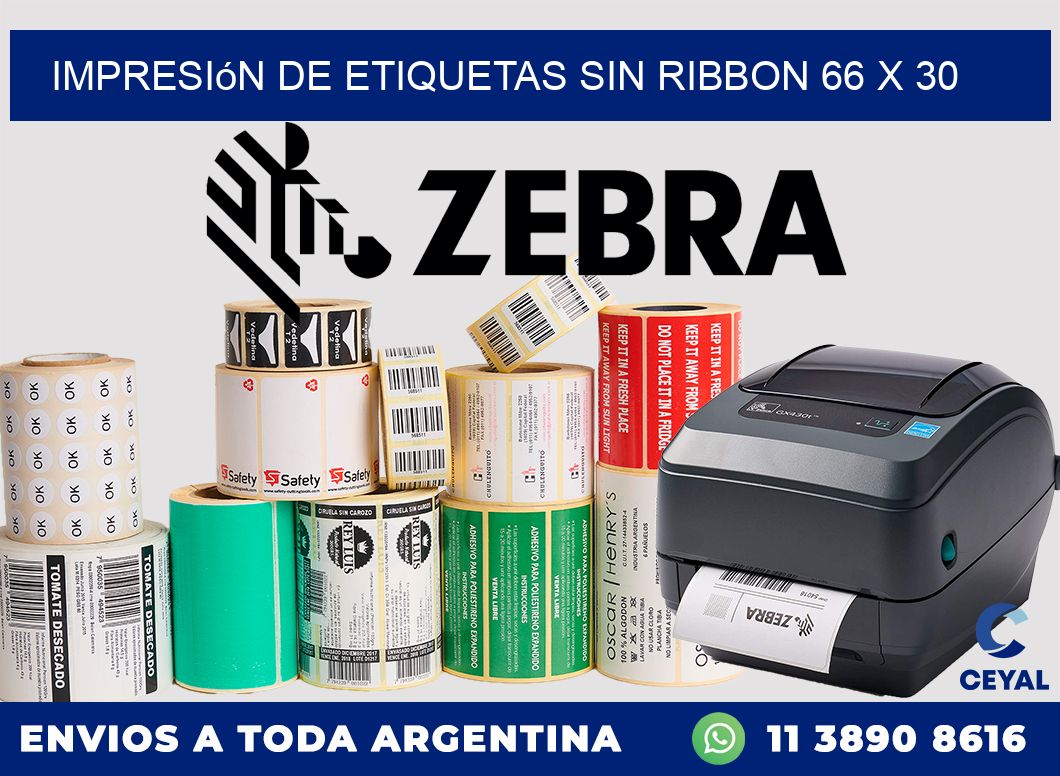impresión de etiquetas sin ribbon 66 x 30