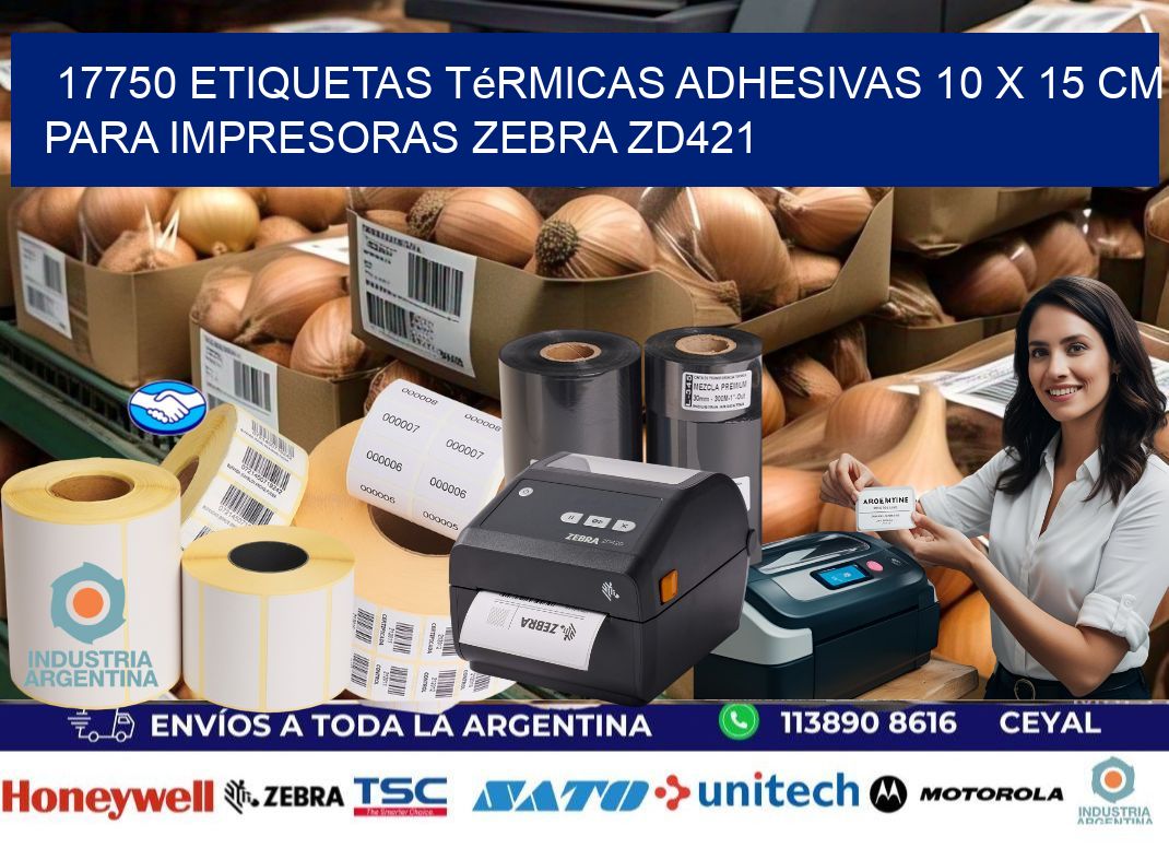 17750 Etiquetas Térmicas Adhesivas 10 x 15 cm para Impresoras Zebra ZD421