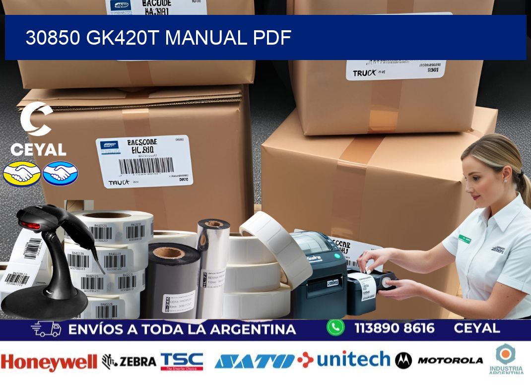 30850 GK420T manual PDF