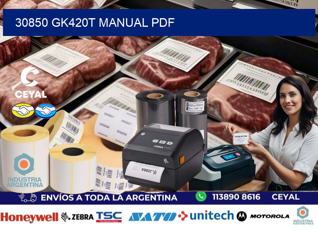 30850 GK420T manual PDF