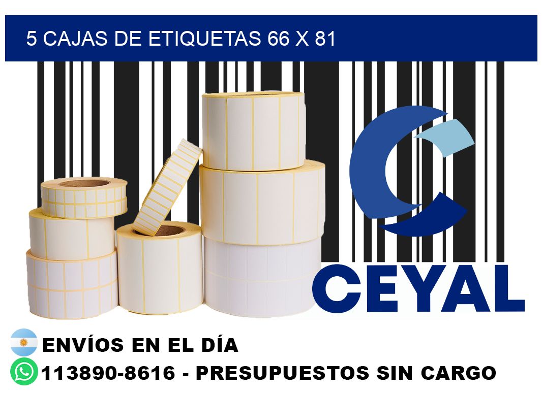 5 cajas de etiquetas 66 x 81