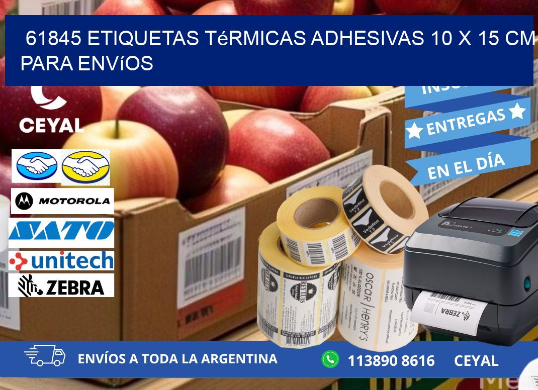 61845 Etiquetas Térmicas Adhesivas 10 x 15 cm para Envíos