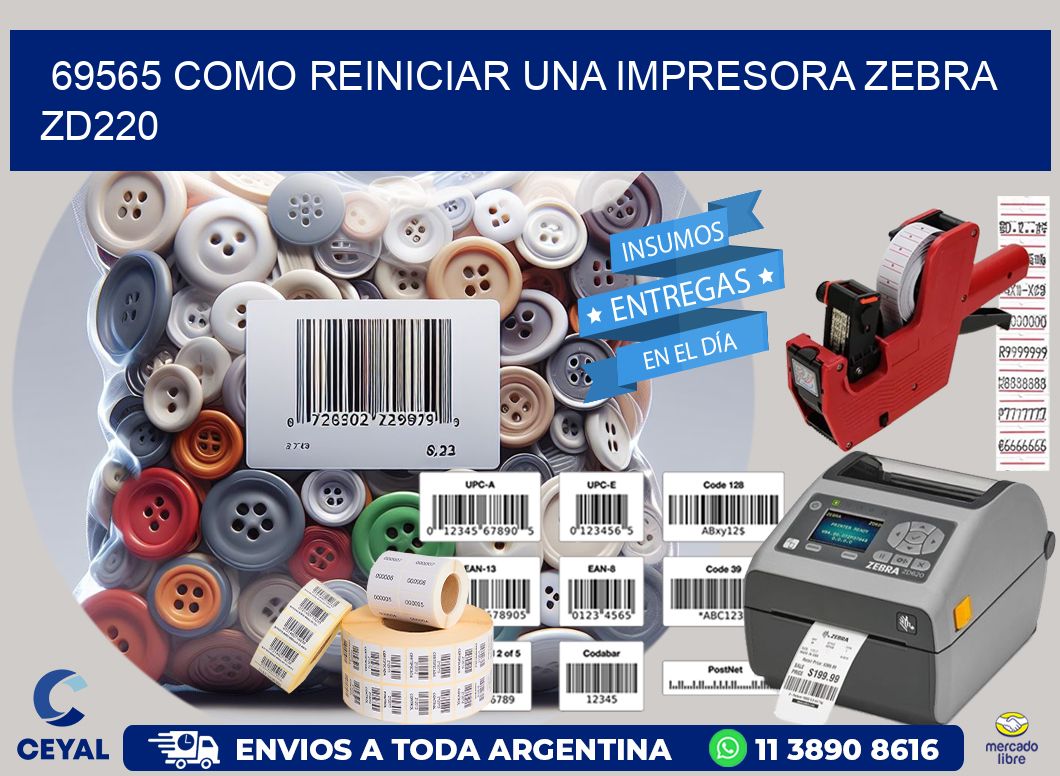 69565 Como reiniciar una impresora Zebra  ZD220