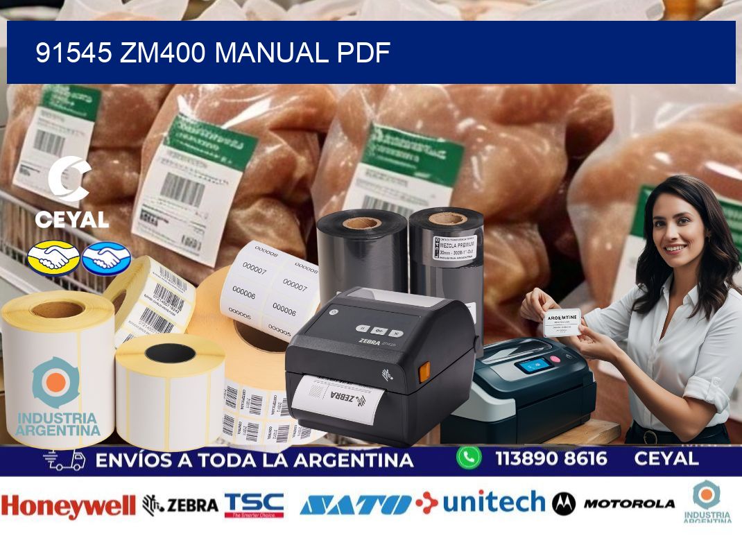 91545 ZM400 manual PDF
