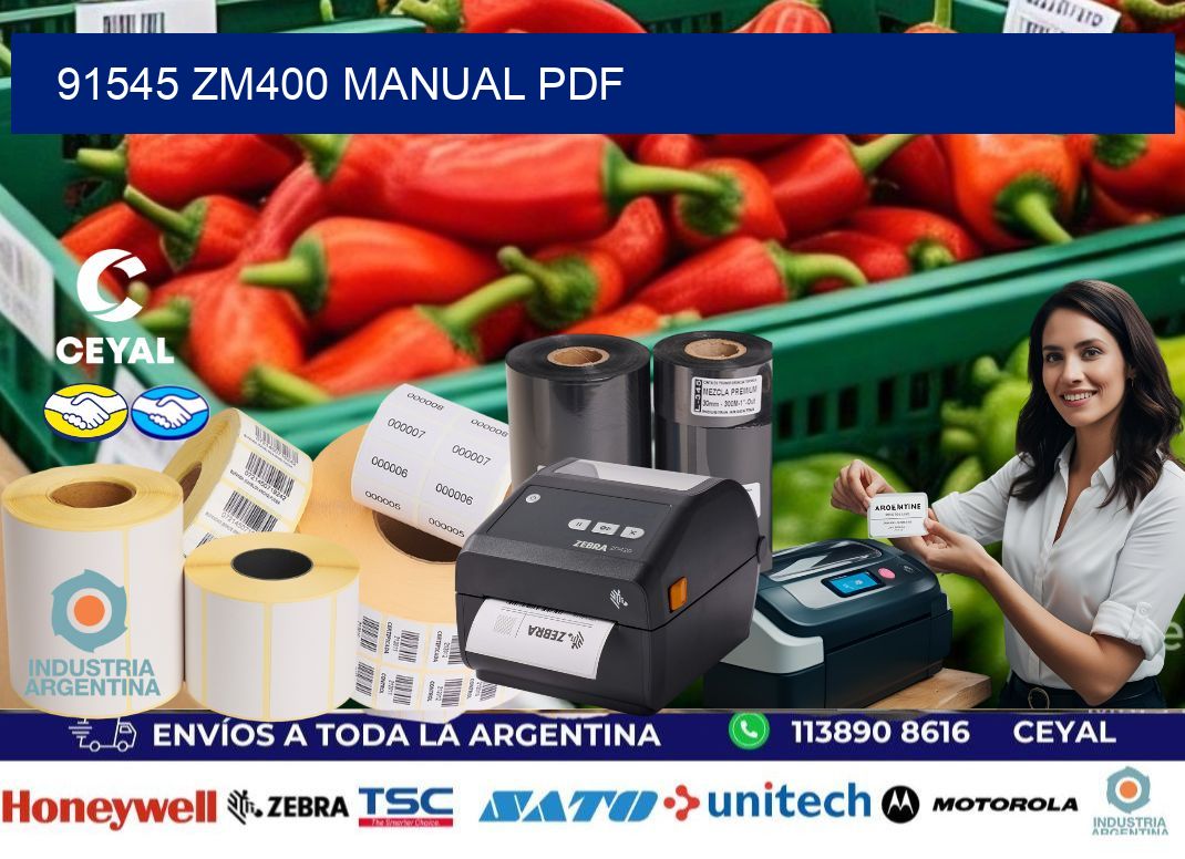 91545 ZM400 manual PDF