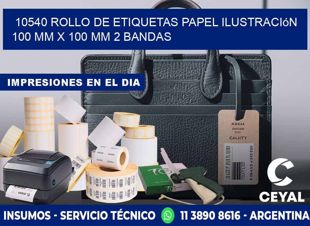 10540 Rollo de Etiquetas Papel Ilustración 100 mm x 100 mm 2 Bandas