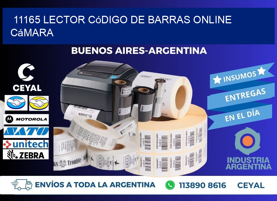 11165 Lector código de barras online cámara