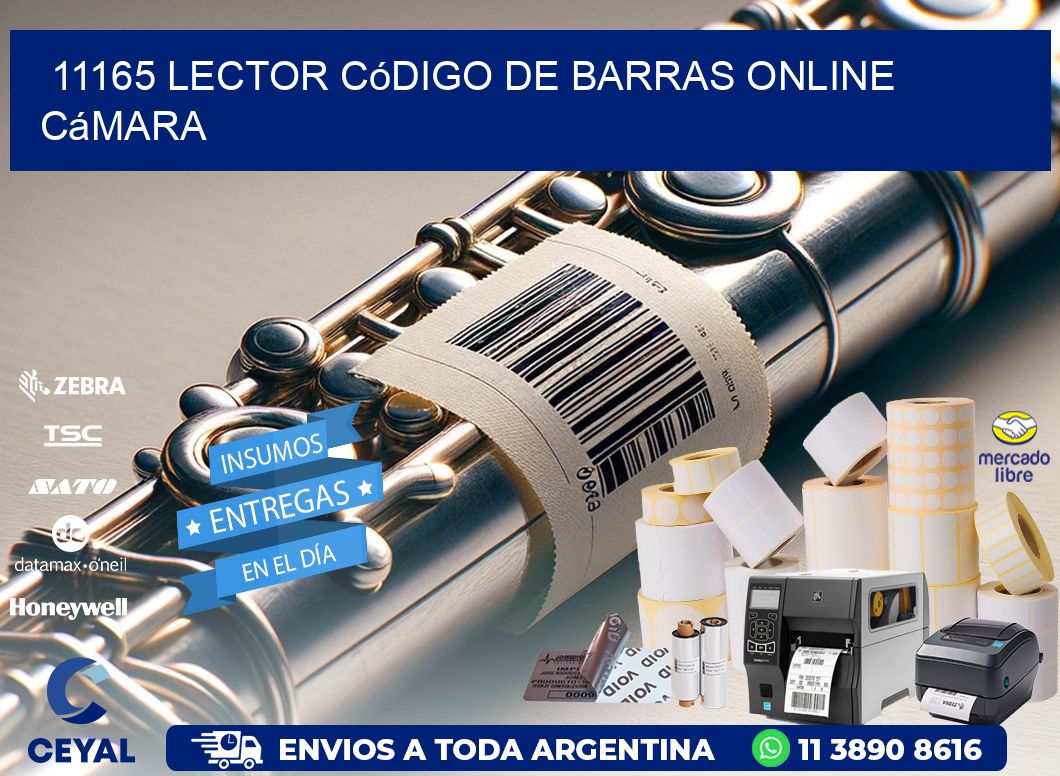 11165 Lector código de barras online cámara