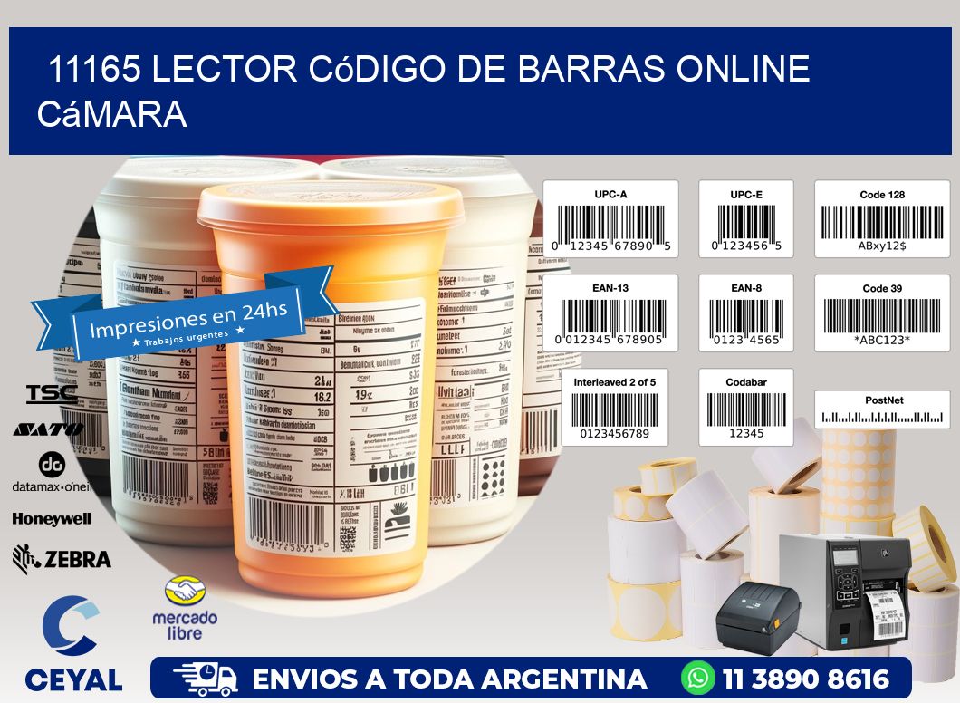 11165 Lector código de barras online cámara