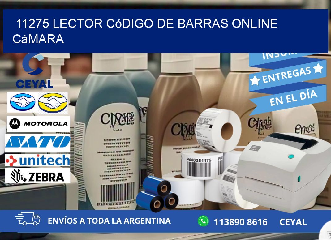 11275 Lector código de barras online cámara