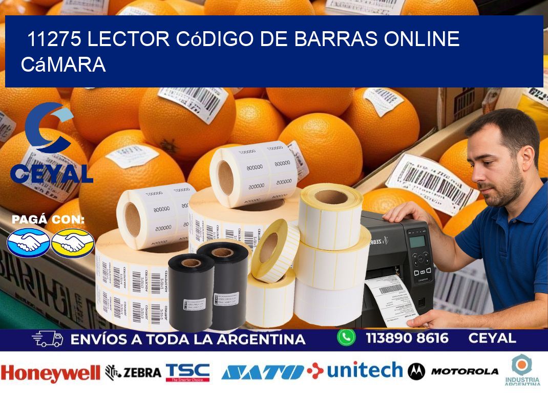 11275 Lector código de barras online cámara