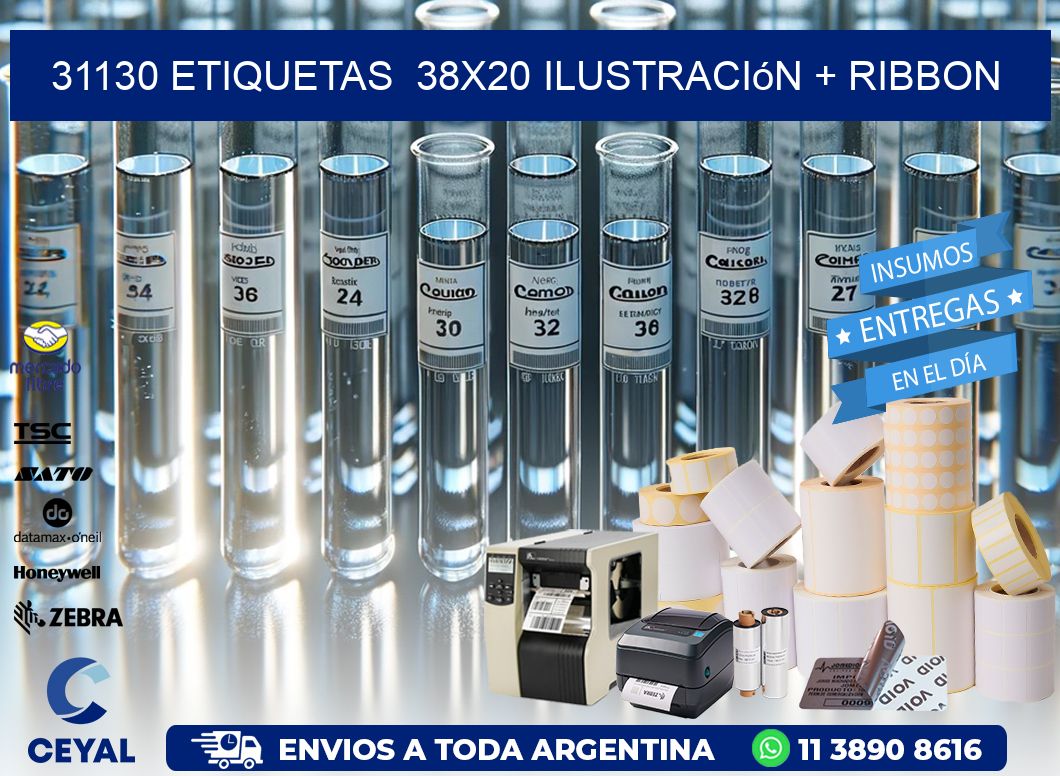 31130 etiquetas  38×20 ilustración + ribbon