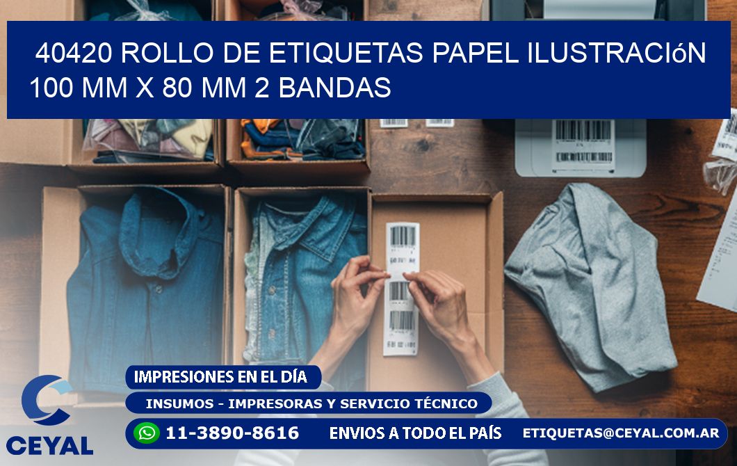 40420 Rollo de Etiquetas Papel Ilustración 100 mm x 80 mm 2 Bandas