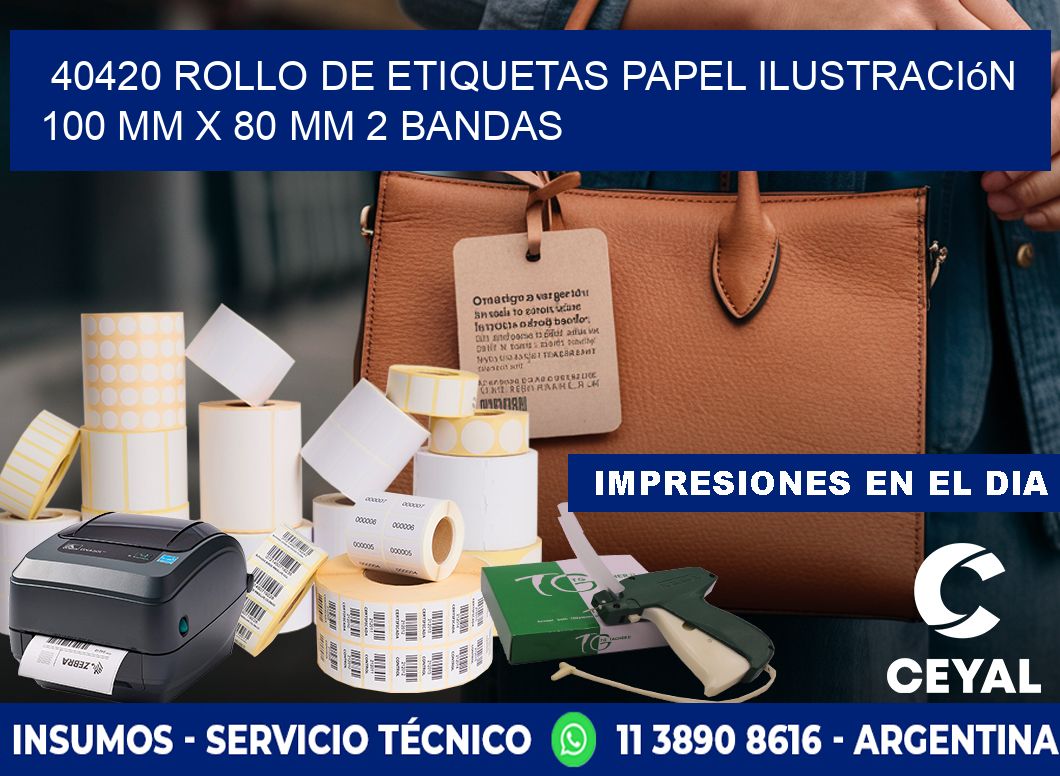 40420 Rollo de Etiquetas Papel Ilustración 100 mm x 80 mm 2 Bandas