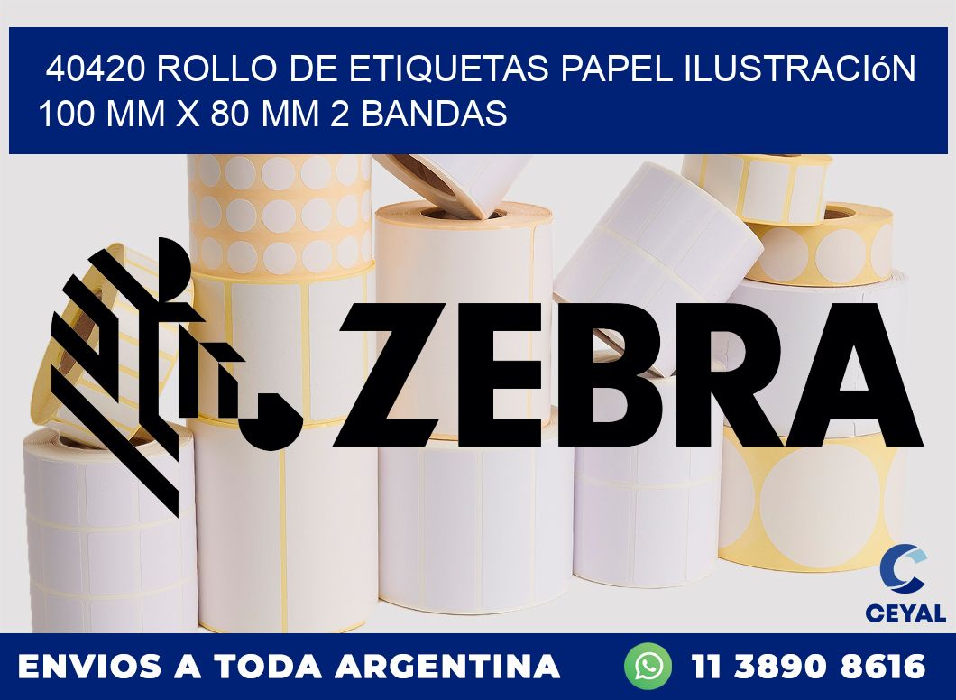 40420 Rollo de Etiquetas Papel Ilustración 100 mm x 80 mm 2 Bandas