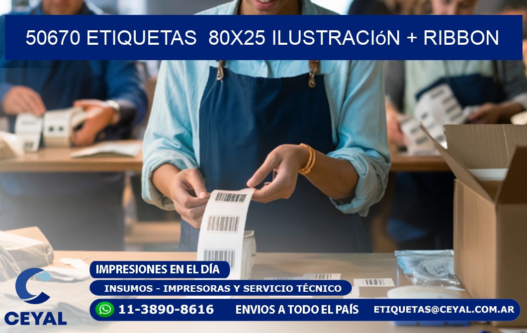 50670 etiquetas  80x25 ilustración + ribbon