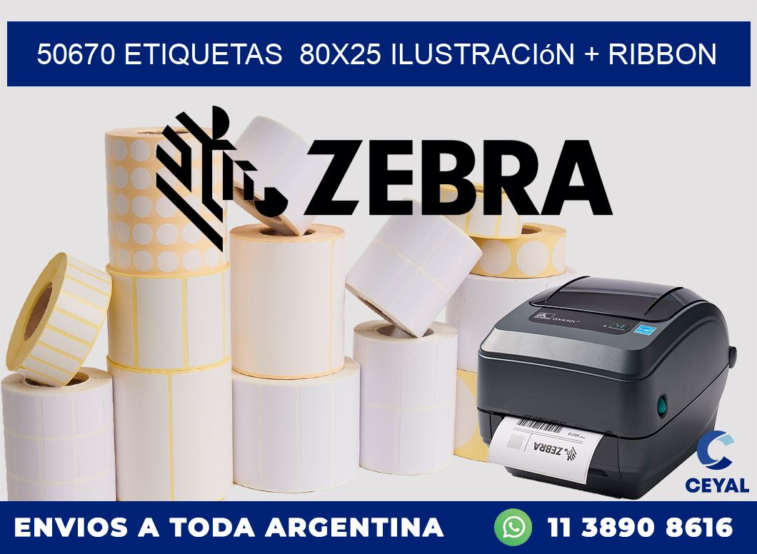 50670 etiquetas  80x25 ilustración + ribbon