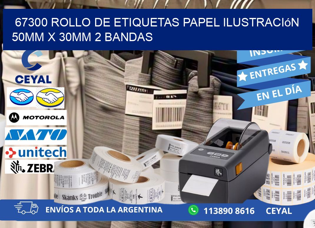 67300 Rollo de Etiquetas Papel Ilustración 50mm x 30mm 2 Bandas