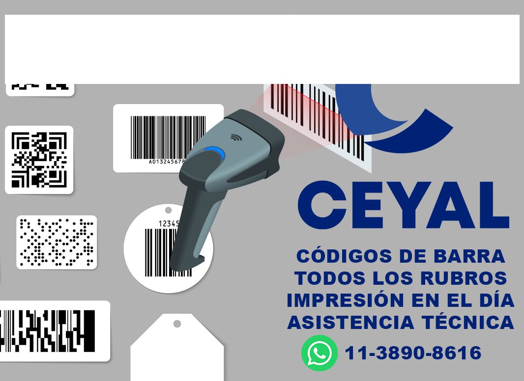 73705 Lector código de barras online cámara