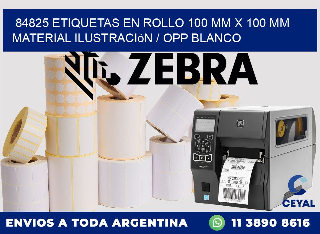 84825 Etiquetas en rollo 100 mm x 100 mm material Ilustración / OPP Blanco