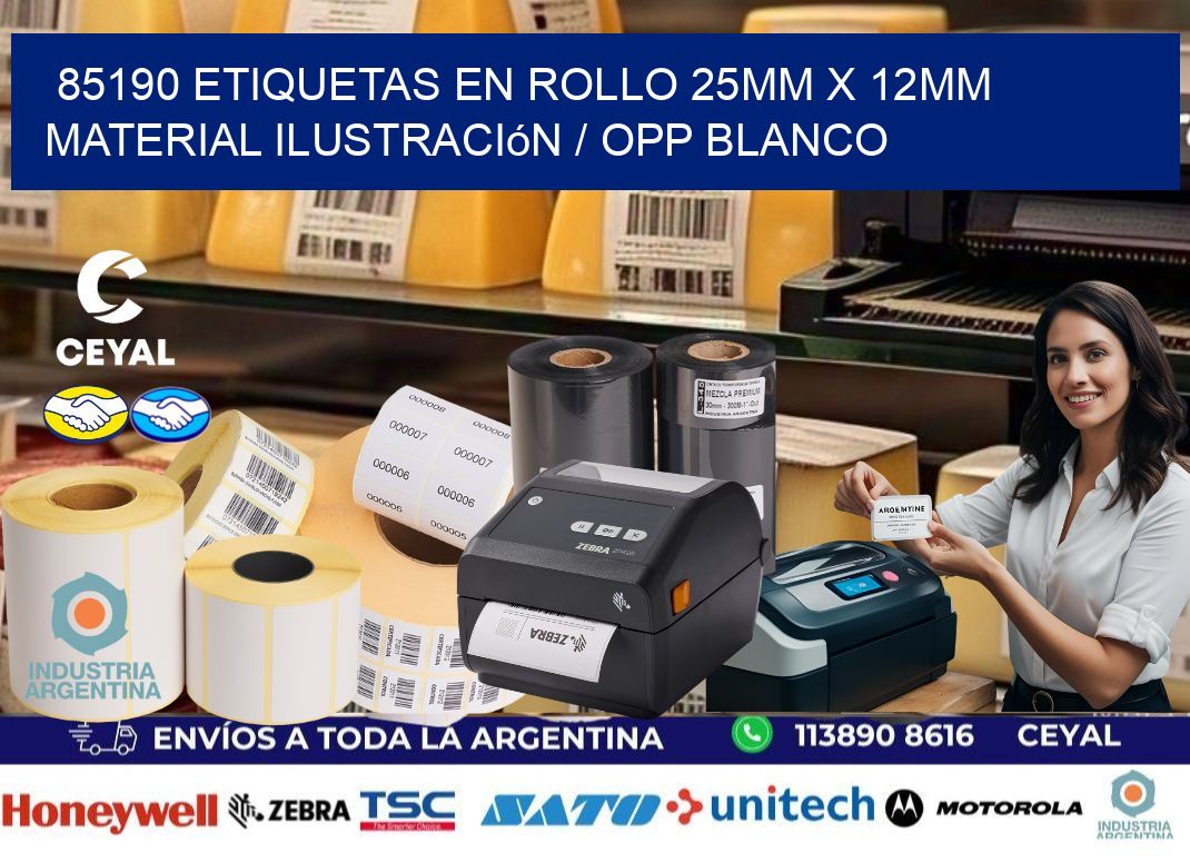 85190 Etiquetas en rollo 25mm x 12mm material Ilustración / OPP Blanco