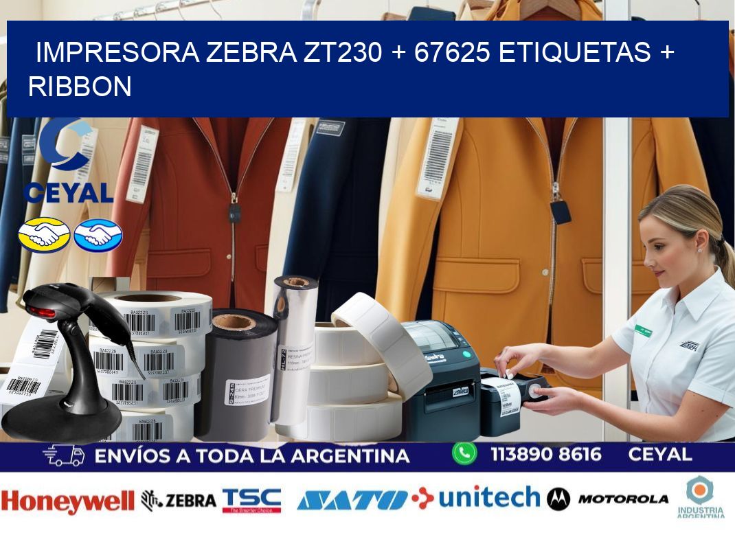 impresora zebra zt230 + 67625 etiquetas + ribbon