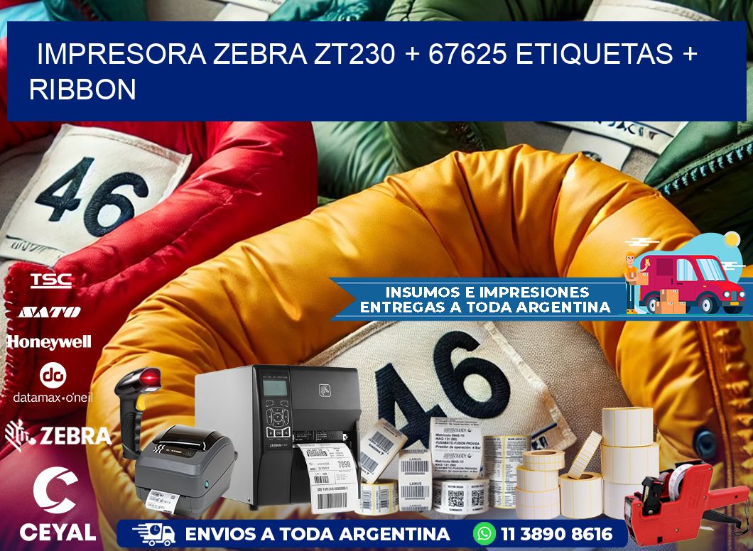impresora zebra zt230 + 67625 etiquetas + ribbon